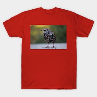 Wild life design T-Shirt